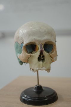 Webinar: Bridging Tradition and Technology: Acquiring Craniofacial Inter-Landmark Distances in the Virtual Environment